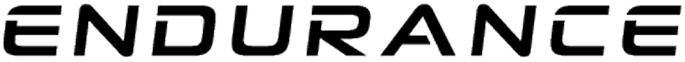 Endurance Logo